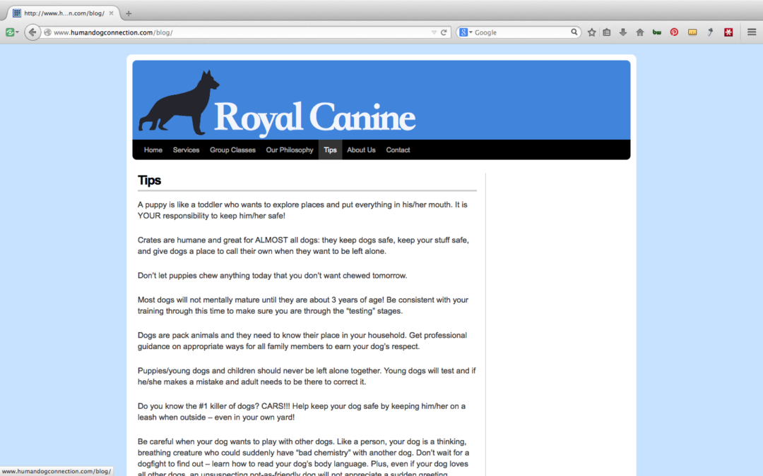 Royal Canine Before 5